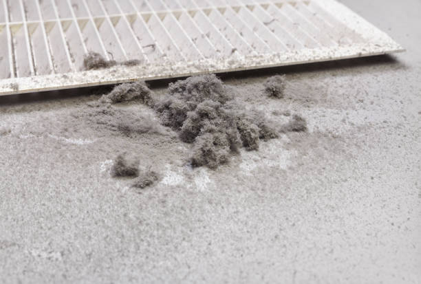 Best Home Air Vent Cleaning  in Gretna, LA