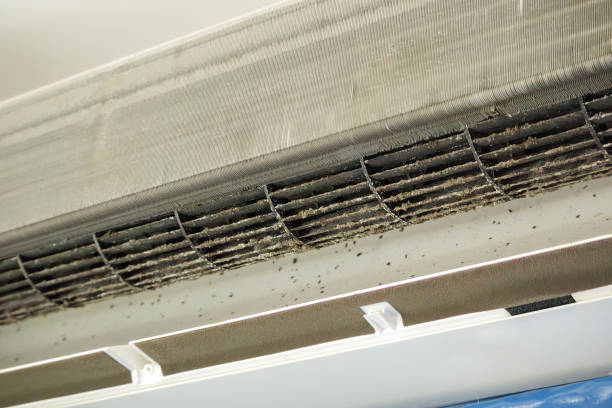 Best Commercial Air Duct Cleaning  in Gretna, LA